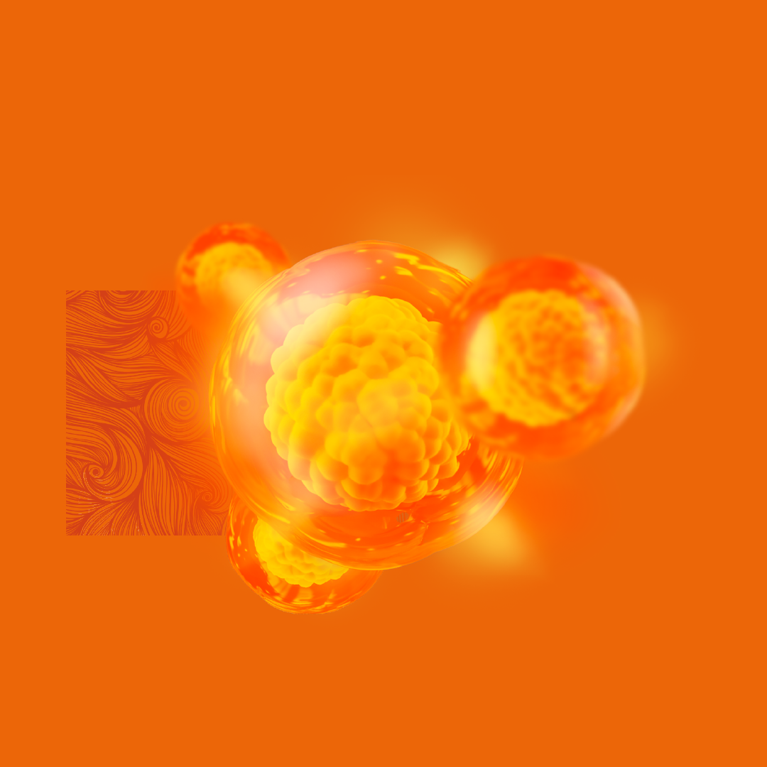 Prancheta 9 cópia 2