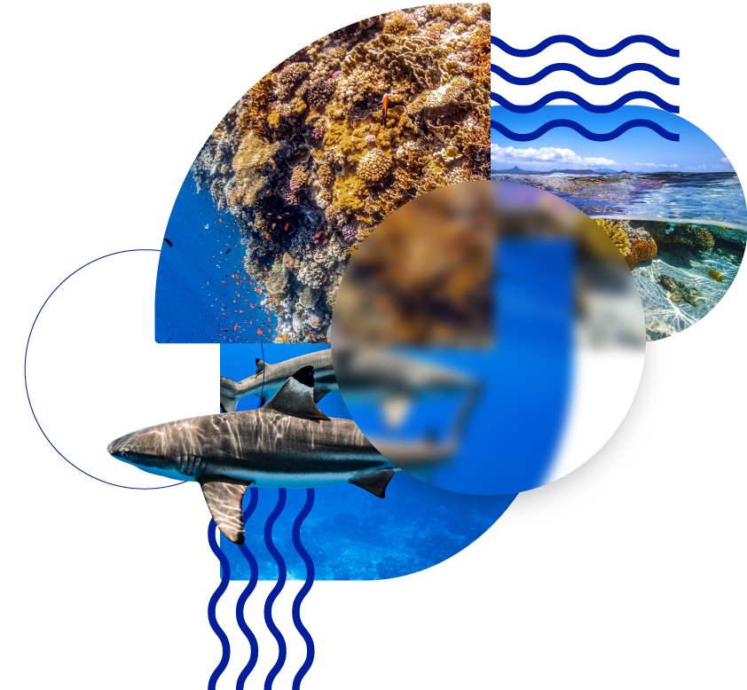 banner-section-2-mobile